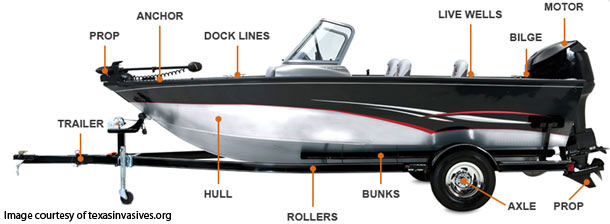 components of tyical boat