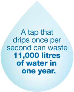 A tap that drips once per second can waste 10,000 litres of water in one year.